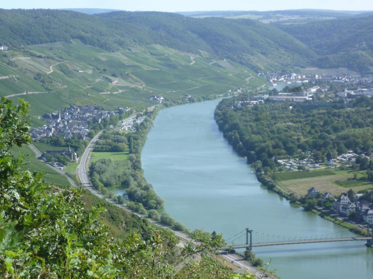 Ferienwohnung Ehlen Im Alten Winzerhaus زلتنغن راختخ المظهر الخارجي الصورة